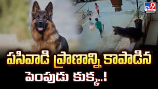 వాట్సాప్‌ గ్రూప్‌ పేరు మారిందా?! మీ ఫోన్‌ హ్యాక్‌ అయినట్లే వీడియో