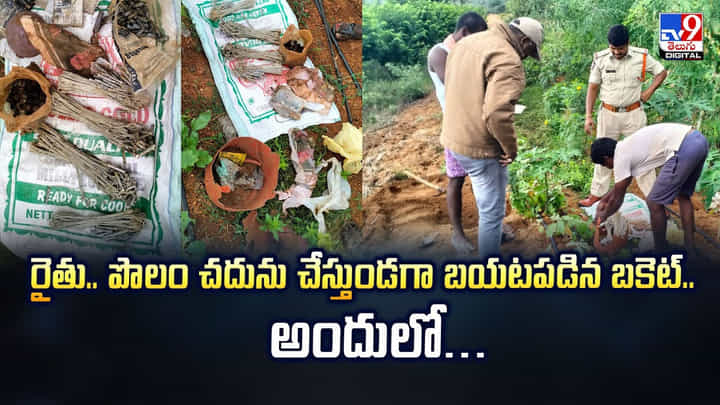 రైతు..పొలం చదును చేస్తుండగా బయటపడిన బకెట్.. అందులో… రైతు..పొలం చదును చేస్తుండగా బయటపడిన బకెట్.. అందులో…