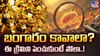 పసివాడి ప్రాణాన్ని కాపాడిన పెంపుడు కుక్క వీడియో