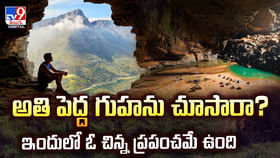 అతి పెద్ద గుహలో చిన్న ప్రపంచం..వీడియో చూస్తే మతిపోవాల్సిందే గురూ! అతి పెద్ద గుహలో చిన్న ప్రపంచం..వీడియో చూస్తే మతిపోవాల్సిందే గురూ!