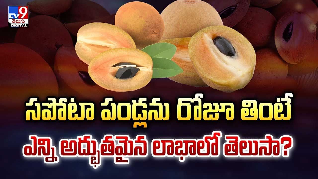 స‌పోటా పండ్లను రోజూ తింటే ఎన్ని అద్భుత‌మైన లాభాలో తెలుసా? వీడియో