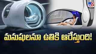 మనిషి రూపంలో పుట్టిన మేకపిల్ల.. చూస్తే షాక్ అవ్వాల్సిదే వీడియో