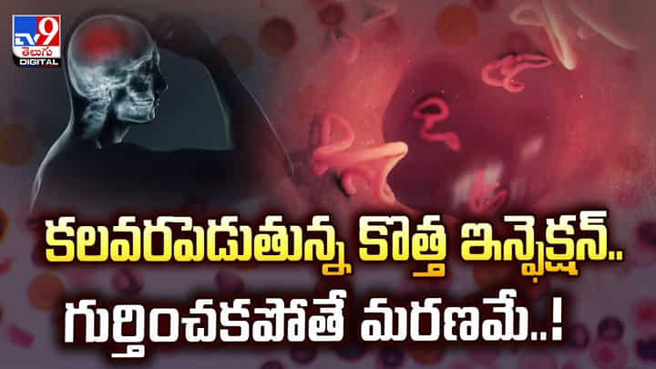 కలవరపెడుతున్న కొత్త ఇన్ఫెక్షన్.. గుర్తించకపోతే మరణమే వీడియో కలవరపెడుతున్న కొత్త ఇన్ఫెక్షన్.. గుర్తించకపోతే మరణమే వీడియో