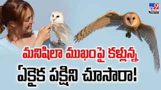 Hyderabad: ఇక నాన్‌స్టాప్ వర్షాలే.. ఇళ్ల నుంచి బయటకు రావద్దు.! మళ్లీ కుమ్మేస్తుంది..(Video)