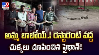 వర్షంలో మొబైల్ సిగ్నల్ రావట్లేదా? ఇలా చేసి చూడండి వీడియో