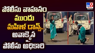 గ్రామ సింహం Vs‌ చిరుతపులి.. గెలుపు ఎవరిదో తెలుసా?