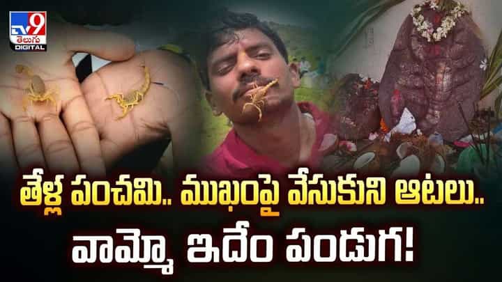 తేళ్ల పంచమి.. వాటిని ముఖంపై వేసుకుని ఆటలు.. వామ్మో ఇదేం పండుగ వీడియో తేళ్ల పంచమి.. వాటిని ముఖంపై వేసుకుని ఆటలు.. వామ్మో ఇదేం పండుగ వీడియో