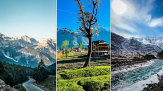 Viral Video: తలుచుకుంటేనే వణుకొస్తుంది..! ప్రియురాలితో రెస్టారెంట్‌లో ఉండగా ఊహించని ఘటన