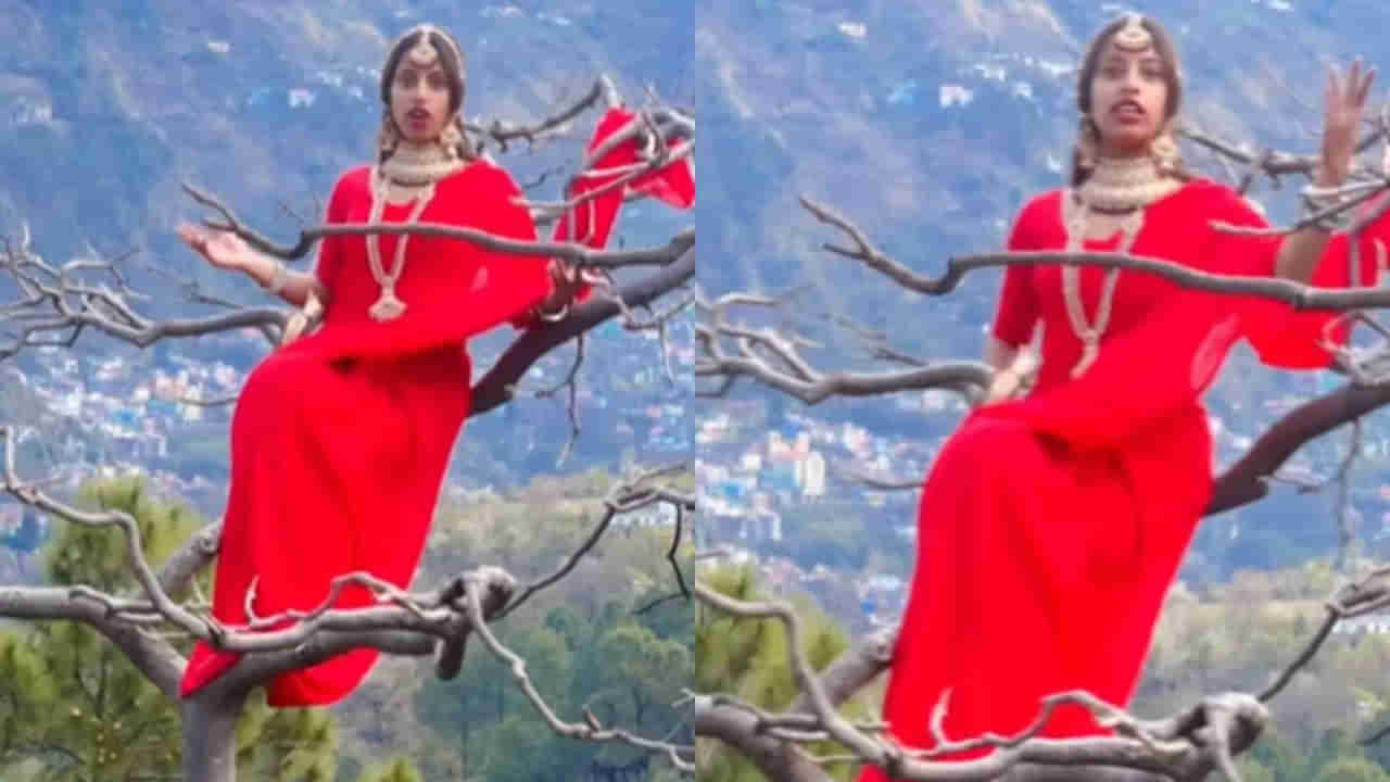 Viral Video: పిచ్చి పీక్ స్టేజ్ కి.. చెట్టు కొమ్మల్లో కూర్చుని చెట్లకి రాణి నేనే అంటున్న యువతి.. కోట్లాది వ్యూస్ సొంతం