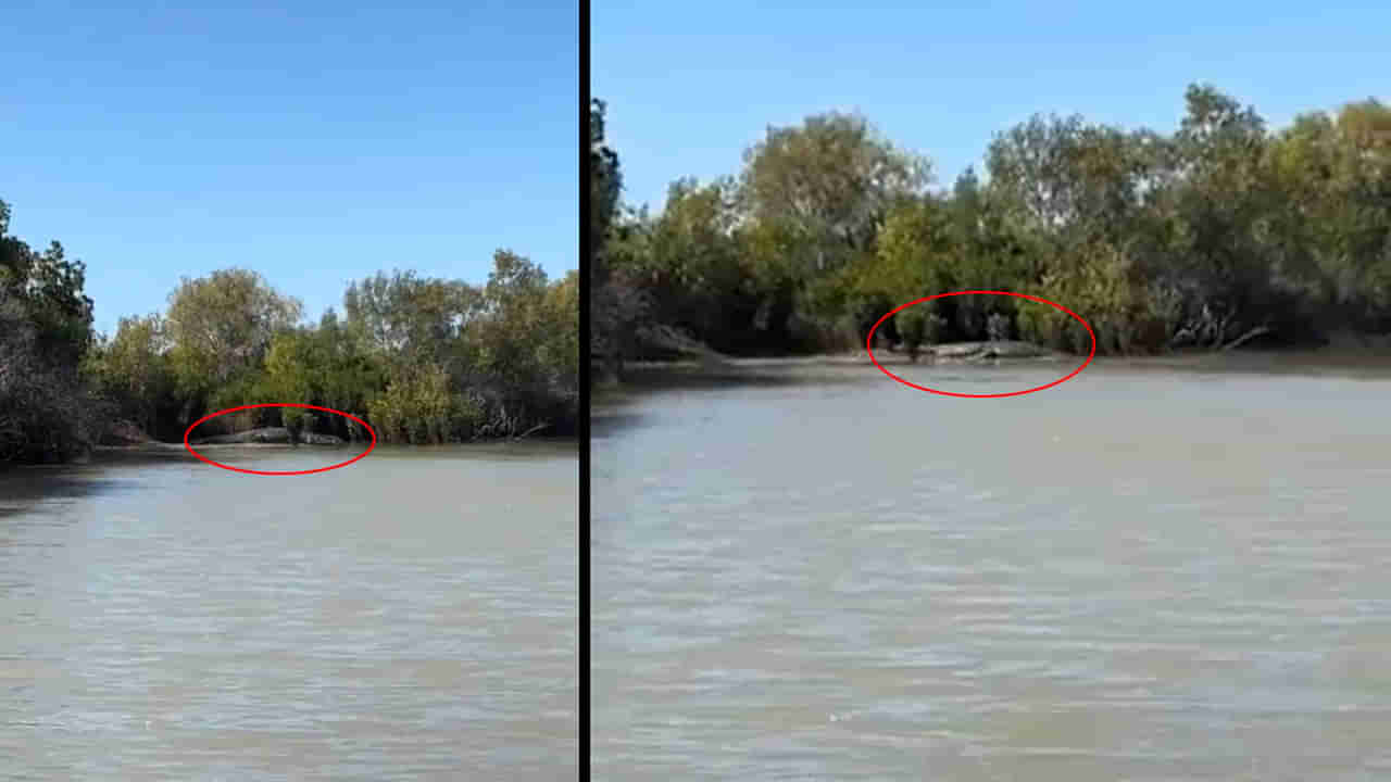 Viral Video: నీటిలో తేలియాడుతూ కనిపించిన నల్లటి ఆకారం.. ఏంటని చూడగా గుండె గుభేల్.!