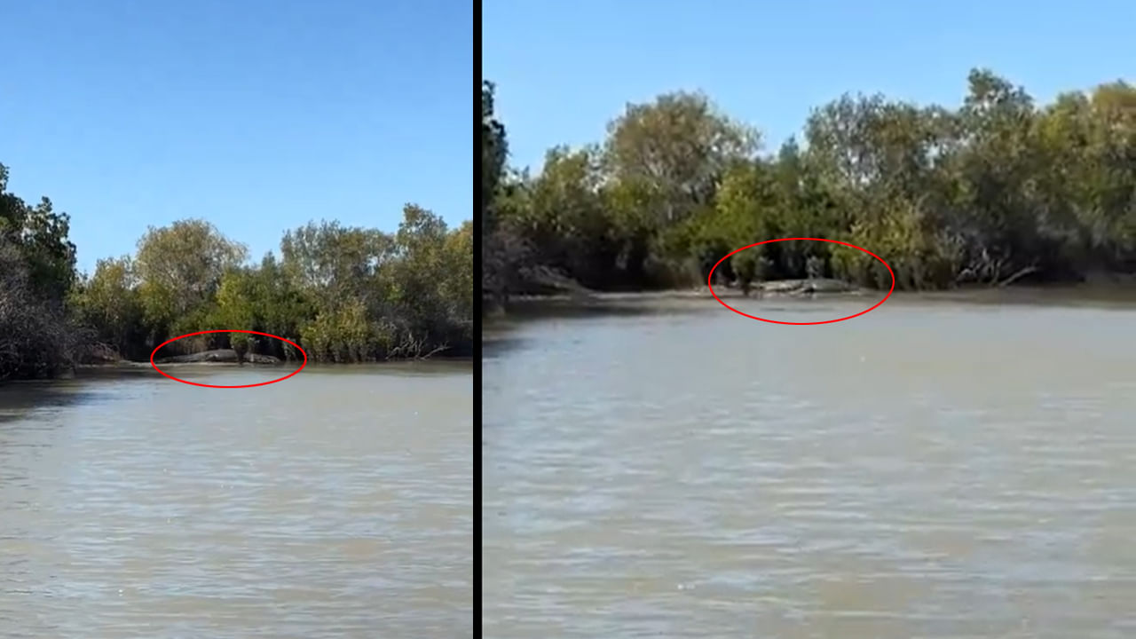 Viral Video: నీటిలో తేలియాడుతూ కనిపించిన నల్లటి ఆకారం.. ఏంటని చూడగా గుండె గుభేల్.!