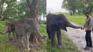 Independence Day: ఈ ఏడాది స్వాతంత్ర్య దినోత్సవం 78వదా లేక 79వదా? ప్రధాని నోటితో దేశ ప్రజలకు సందేశం ఇవ్వడానికి ఆహ్వానం