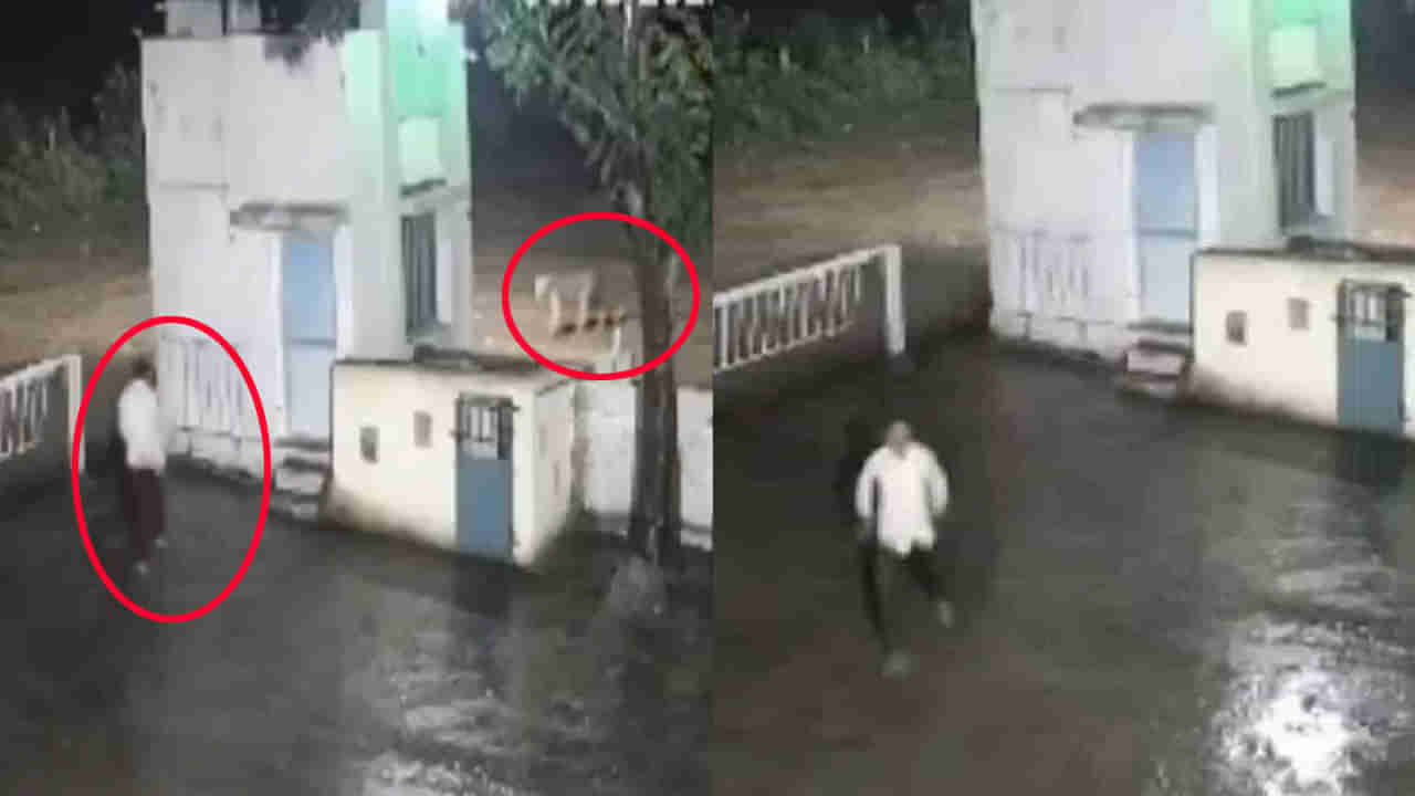 ఒరేయ్‌ అజామూ అగెత్తరో.. సడెన్‌గా ఎదురు పడిన మనిషి, సింహం.. తర్వాత ఏం జరిగిందో చూడండి!