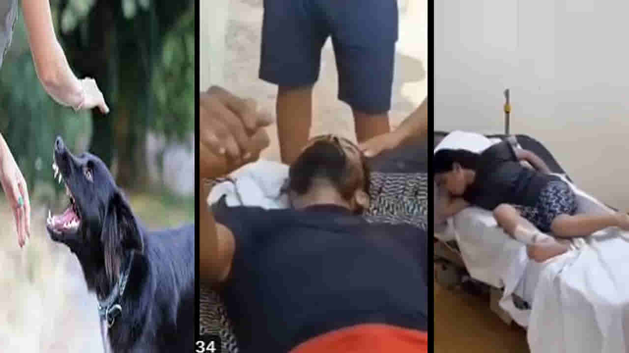 Viral Video: అయ్యో రామా.. రేబీస్ సోకితే ఆఖరి క్షణాల్లో ఇలా ప్రవర్తిస్తారా..! వీధి కుక్కలతో జాగ్రత్త సుమా..