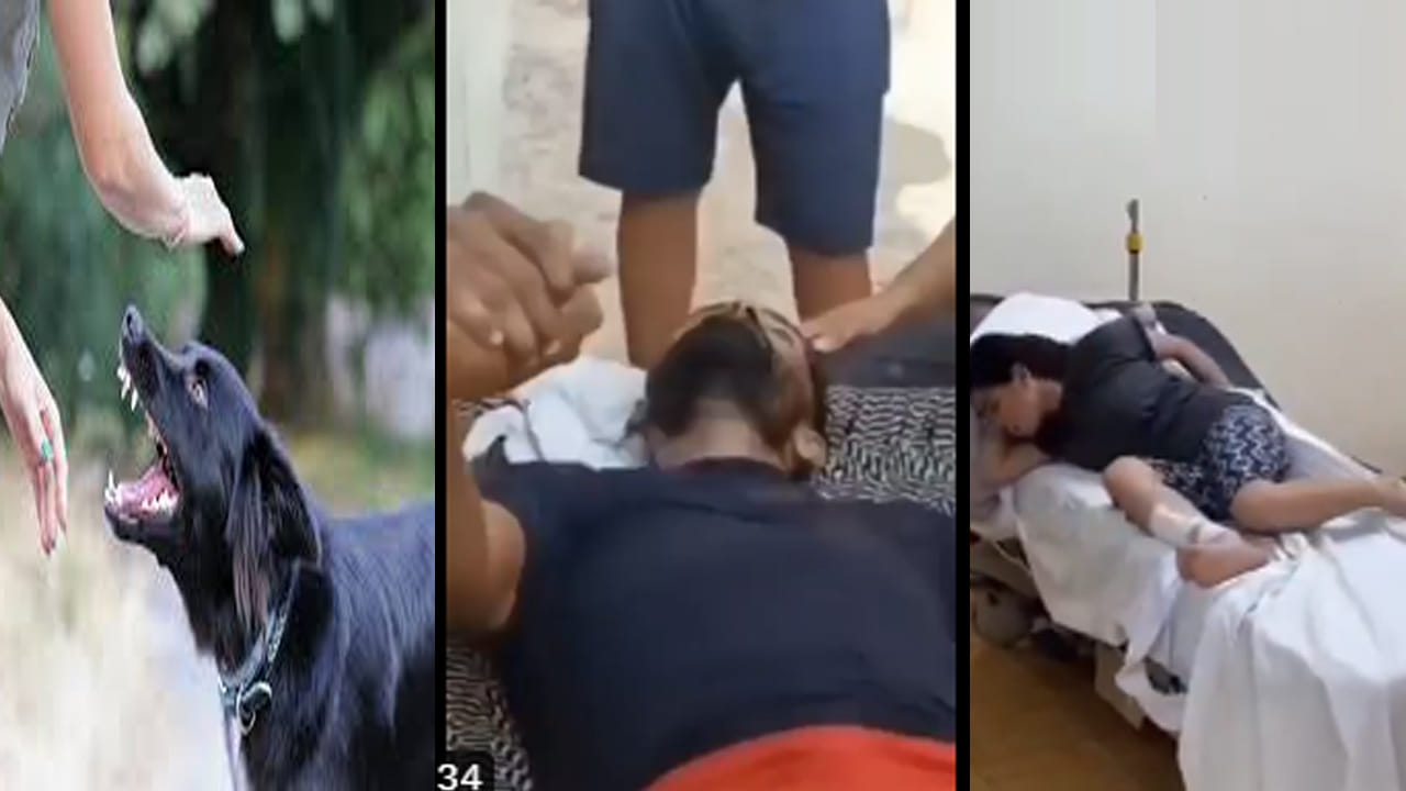 Viral Video: అయ్యో రామా.. రేబీస్ సోకితే ఆఖరి క్షణాల్లో ఇలా ప్రవర్తిస్తారా..! వీధి కుక్కలతో జాగ్రత్త సుమా..