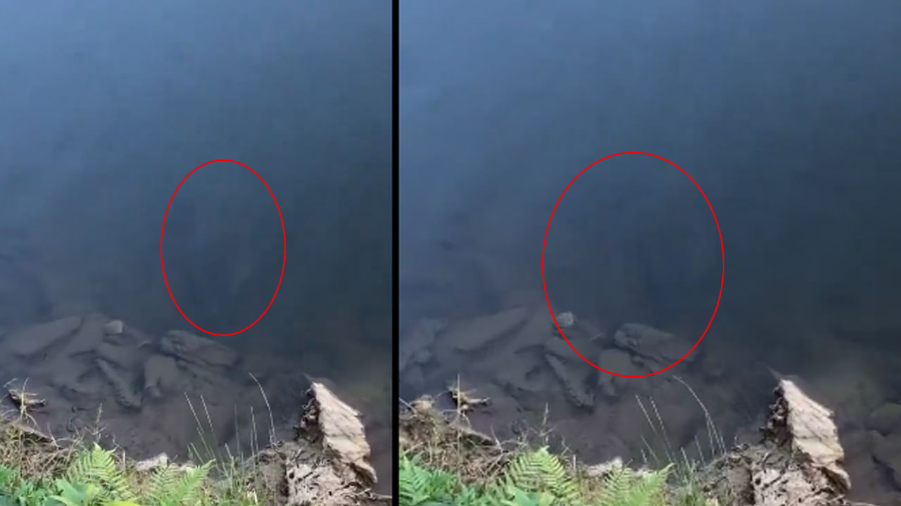 Viral Video: చేపల కోసం గాలం వేయగా.. నీటి అడుగున కనిపించింది చూసి అవాక్కు