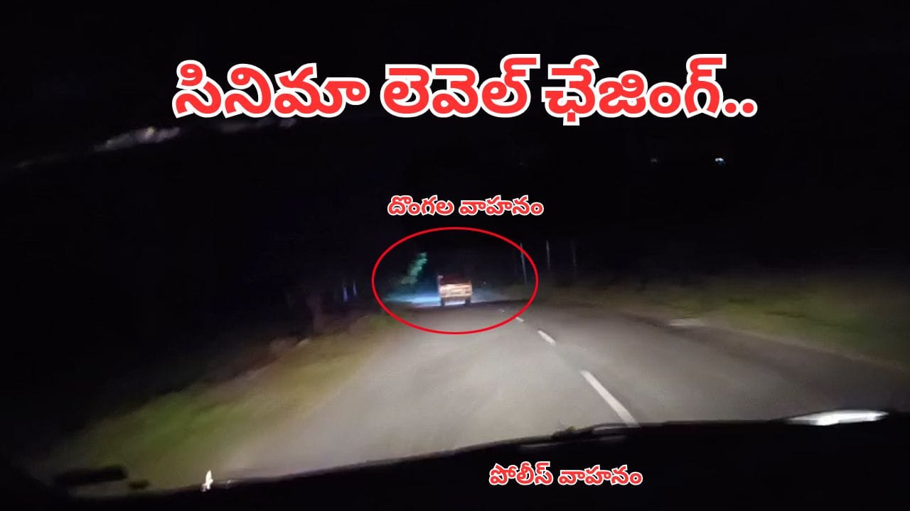 Watch Video: పందులను ఎత్తుకెళ్తున్న దొంగలు.. సినిమా లెవెల్లో ఛేజ్ చేసిన పోలీసులు.. చివరకు ఏమైందంటే?