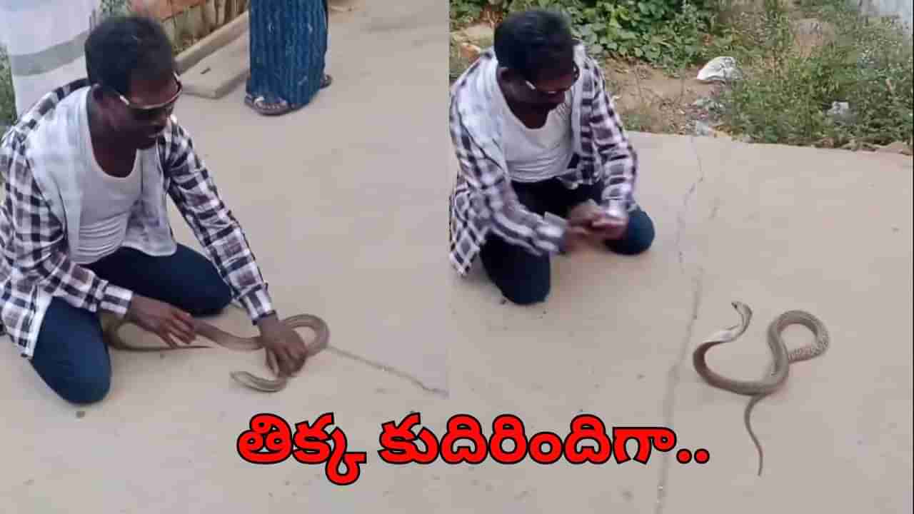 Viral Video: ఒరేయ్.. ఎవర్రా నువ్వు.. పాముతో నాగిని డాన్స్ ఏంట్రా..!! చివరకు తిక్క కుదిరిందిగా!
