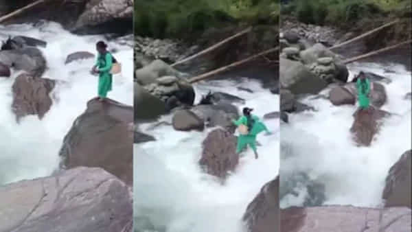 Viral Video: ప్రమాదకంగా ప్రవహిస్తున్న వాగు.. నవజాత శిశువు ప్రాణం కోసం ప్రాణాన్ని ఫణంగా పెట్టి వాగు దాటిన నర్స్.. వీడియో వైరల్