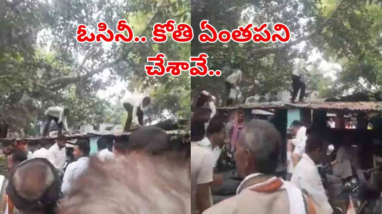 Viral Video: ఓసినీ.. ఎంత పనిచేశావే.. క్యాష్ బ్యాగ్ ఎత్తుకెళ్లి చెట్టెక్కిన కోతి.. తర్వాత ఏం జరిగిందో చూడండి!