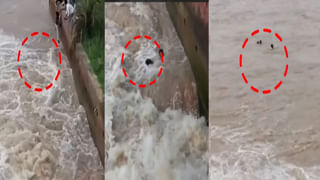 Viral Video: ఏంటి అక్కా ఆ కోపం.! పోతావ్ అనుకున్నా.. అసలు మ్యాటర్ తెలిస్తే పిచ్చెక్కుద్ది