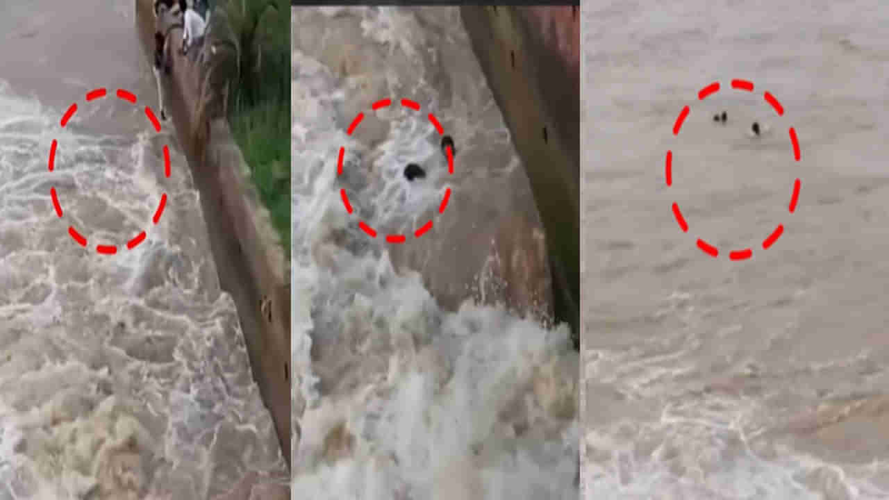 Viral Video: స్నేహం అంటే ఇదేరా..! ఫ్రెండ్ ని రక్షించేందుకు అలలతో పోరాడిన స్నేహితులు .. వీడియో వైరల్