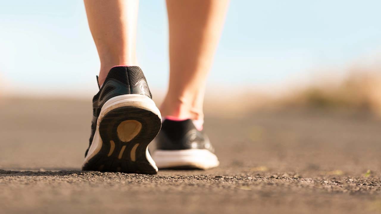 మీ ఆరోగ్య లక్ష్యాలు, దినచర్యకు సరిపోయే సమయం మీకు ఉత్తమ సమయమని ఢిల్లీలోని సావోల్ సైన్స్ అండ్ ఆర్ట్ ఆఫ్ లివింగ్కు చెందిన డాక్టర్ చెబుతున్నారు. అతి ముఖ్యమైన విషయం స్థిరత్వం. మీరు క్రమం తప్పకుండా నడక దినచర్యను కొనసాగిస్తే, మీరు స్వల్పకాలిక, దీర్ఘకాలిక ఆరోగ్య ప్రయోజనాలను పొందుతారని నిపుణులు సూచిస్తున్నారు.