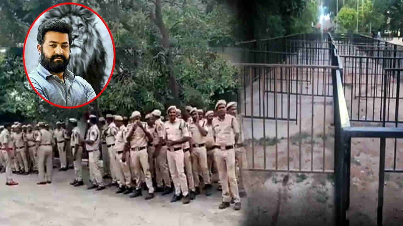 War 2: తారక్ కల్ట్ ఇమేజ్కి ఇదే నిదర్శనం.. వార్ 2 కోసం ఇప్పటివరకు లేని విధంగా