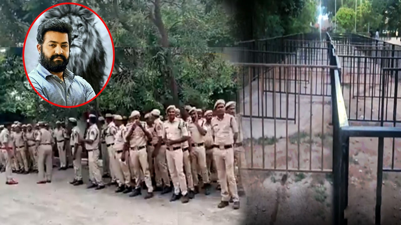 War 2: తారక్ కల్ట్ ఇమేజ్కి ఇదే నిదర్శనం.. వార్ 2 కోసం ఇప్పటివరకు లేని విధంగా