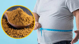 Makhana Kaju Paneer Curry: అన్నం, చపాతీ, నాన్ లోకి టేస్టీ మఖానా కాజు పనీర్ కర్రీ.. ధాబా స్టైల్ లో చేసుకోండి ఇలా…