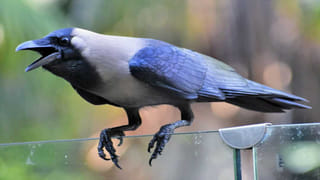 Gold: బంగారం ఎవరు ధరించాలి.. నగలు వేసుకుంటే కలిగే లాభాలేంటి!