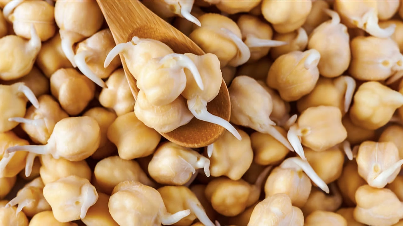 మొలకెత్తిన తెల్ల శనగలు - దేశీ శనగపప్పుల మాదిరిగానే, తెల్ల శనగపప్పు తినడం వల్ల మీకు అనేక ప్రయోజనాలు లభిస్తాయి. ఇది ప్రోటీన్ యొక్క మంచి వనరుగా కూడా పరిగణించబడుతుంది. 140 గ్రాముల మొలకెత్తిన తెల్ల శనగపప్పులో దాదాపు 36 గ్రాముల ప్రోటీన్ ఉంటుంది. అలాగే, ఇది రోజువారీ ఐరన్ విలువలో 40% కలిగి ఉంటుంది.