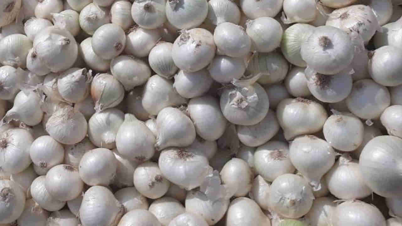 తినకపోతే అద్బుతాలను మిస్సయినట్లే.. ఆ సమస్యలకు దివ్యౌషధం.. కొలెస్ట్రాల్‌ను సర్ఫ్ వేసి కడిగేసినట్లే..