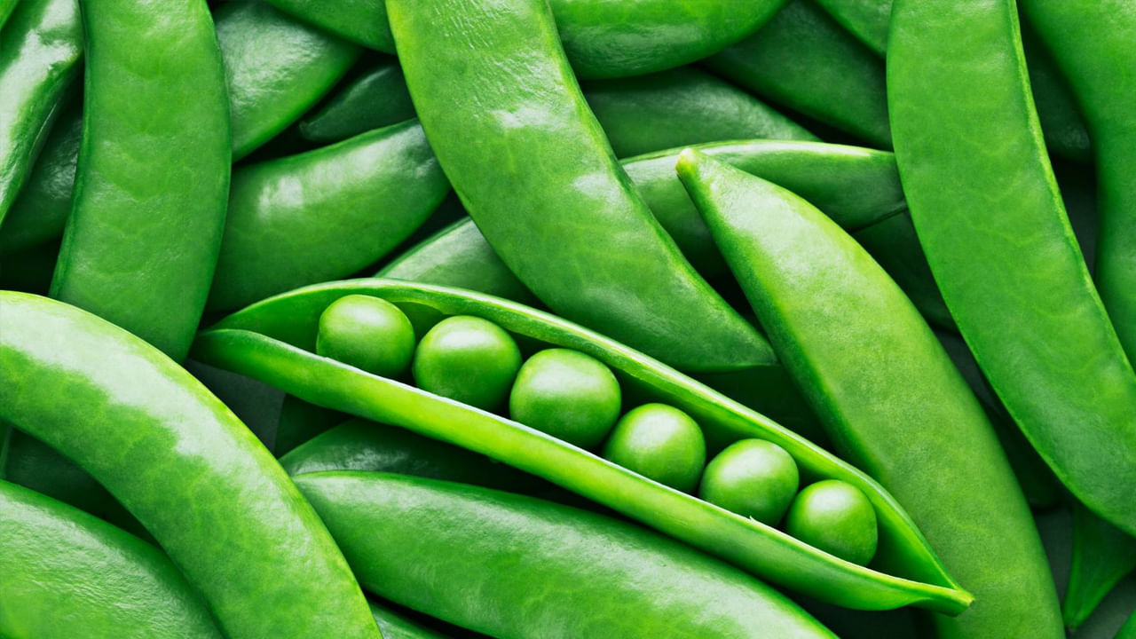 తెల్ల బఠానీలు తినడం ఆరోగ్యానికి చాలా మేలు చేస్తుంది. ఈ బఠానీలను ఆహారంలో చేర్చుకోవడం వల్ల ఎన్నో ఆరోగ్య సమస్యలు తొలగిపోతాయని నిపుణులు అంటున్నారు. అందువల్ల రోజువారీ ఆహారంలో బఠానీలను చేర్చుకోవాలి. మార్కెట్లో బఠానీ కొనడానికి వెళ్లినప్పుడు అక్కడ తెల్ల, పచ్చ బఠానీ కనిపిస్తాయి. వీటిల్లో ఏది కొనాలి అనే దానిపై చాలా మందికి క్లారిటీ ఉండదు. ఆ వివరాలు ఇక్కడ తెలుసుకుందాం..