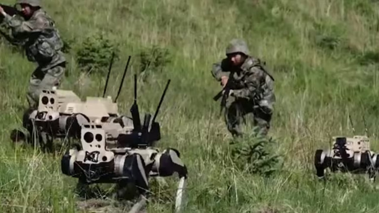 Wolf Robots: నిమిషానికి 60 బుల్లెట్లు.. మంచులోనూ తగ్గేది లేదు.. యుద్ధ రంగంలో తోడేలు రోబోలు..