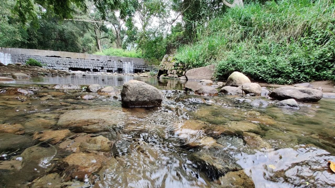 యెర్కాడ్ (Yercaud).. సేలం జిల్లాలోని యెర్కాడ్.. జనసంచారం తక్కువగా ఉండి ప్రశాంతమైన వాతావరణాన్ని అందిస్తుంది. ఇక్కడ ఉన్న బోటింగ్ సరస్సు, పగోడా పాయింట్, క్లియూర్ ఫాల్స్ లాంటి ప్రదేశాలు చిన్న కుటుంబ ట్రిప్స్‌కు సరైనవి.