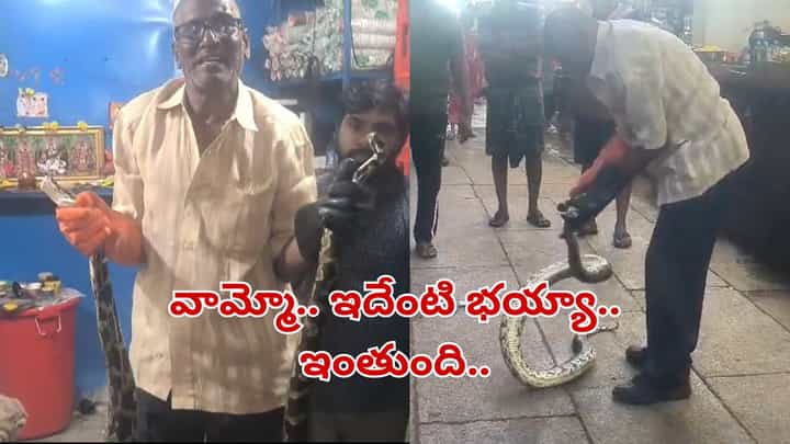 Tirumala: వామ్మో.. ఇదేంటి భయ్యా ఇంతుంది.. తిరుమలలో కొండచిలువ ప్రత్యక్షం! Tirumala: వామ్మో.. ఇదేంటి భయ్యా ఇంతుంది.. తిరుమలలో కొండచిలువ ప్రత్యక్షం!