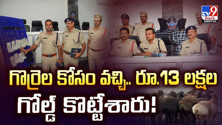 గొర్రెల కోసం వచ్చి.. రూ.13 లక్షల గోల్డ్ కొట్టేశారు గొర్రెల కోసం వచ్చి.. రూ.13 లక్షల గోల్డ్ కొట్టేశారు