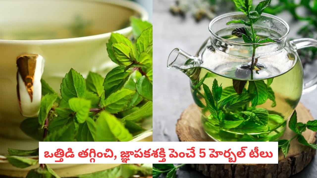 Ayurveda Tea: భారతీయులు మరచిన ఆయుర్వేద టీలు.. ఒత్తిడి, మతిమరుపుకు ...