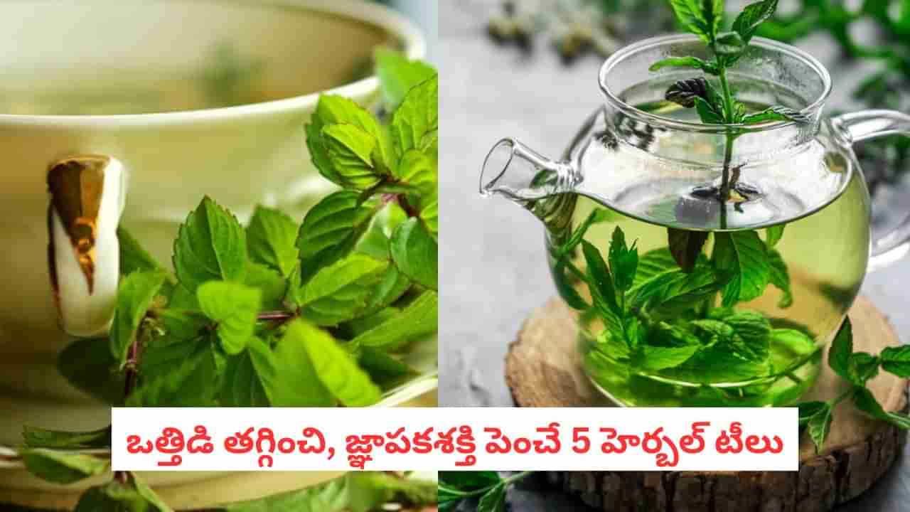 Ayurveda Tea: భారతీయులు మరచిన ఆయుర్వేద టీలు.. ఒత్తిడి, మతిమరుపుకు రామబాణం