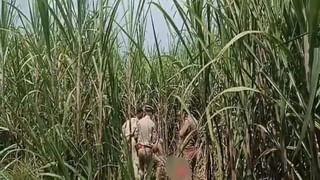 GST Utsav: నేటి నుంచి GST ఉత్సవ్‌ ప్రారంభం.. ప్రజలకు తగ్గనున్న పన్నుల భారం..