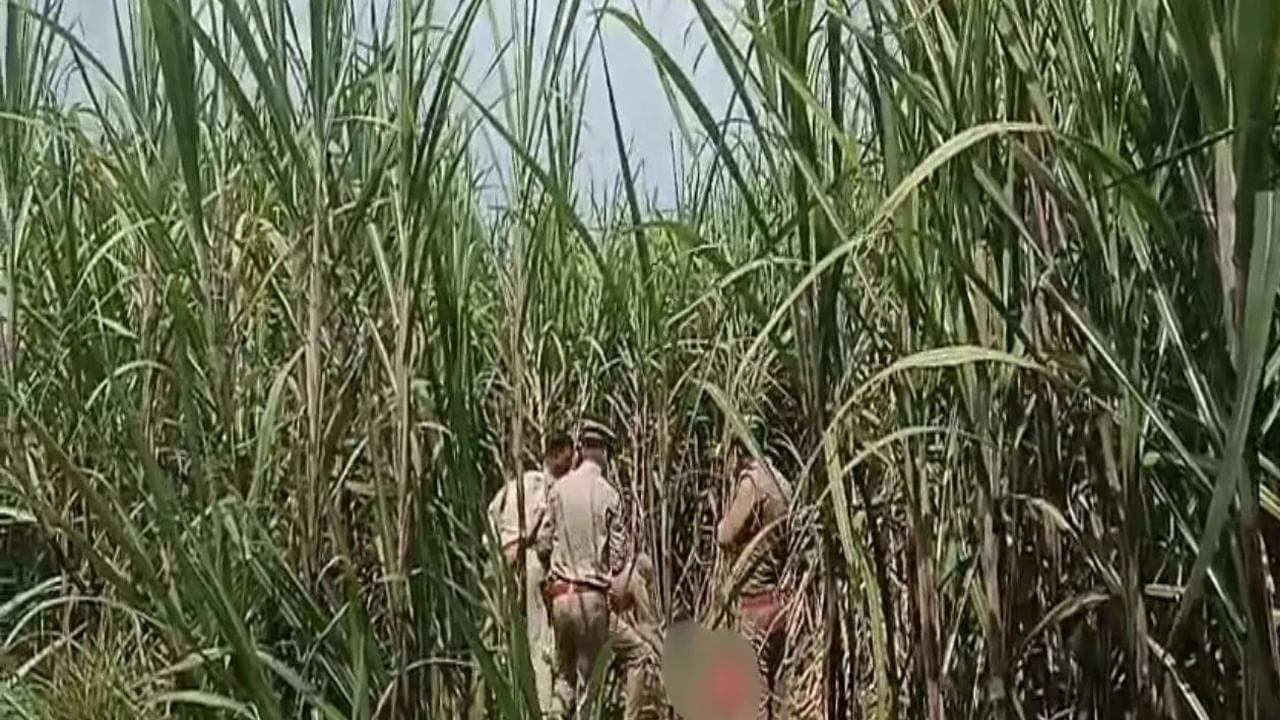 ఆడుకుంటూ అదృశ్యమైన 5 ఏళ్ల బాలిక.. మూడు రోజల తర్వాత చెరకు తోటలో మృతదేహం లభ్యం.. తలపై బలమైన గాయాలు