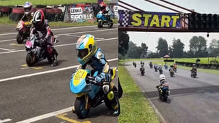 Viral Video: అది పిల్లి కాదు పులి.. నీళ్లు తాగుతున్న చిరుతను మొసలి ఏం చేసిందంటే..? వీడియో వైరల్..