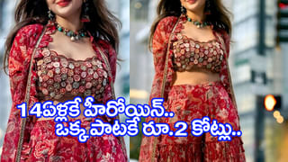 14 ఏళ్లకే హీరోయిన్.. స్టార్ హీరోలతో నటించింది.. కానీ హిట్స్ మాత్రం లేదు..