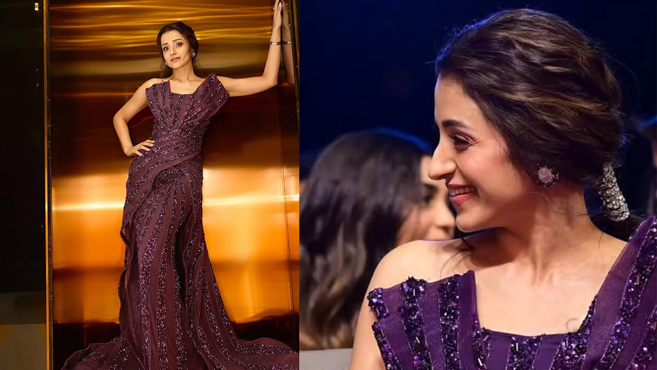  ఇక సినిమాల విషయానికి వస్తే.. ఇటీవలే థగ్ లైఫ్ సినిమాలో కనిపించింది త్రిష. మణిరత్నం దర్శకత్వంలో వచ్చిన ఈ సినిమా అంచనాలను అందుకోలేకపోయింది. ప్రస్తుతం ఈ ముద్దుగుమ్మ చేతిలో పలు సినిమాలు, వెబ్ సిరీస్ లు ఉన్నాయి. 
