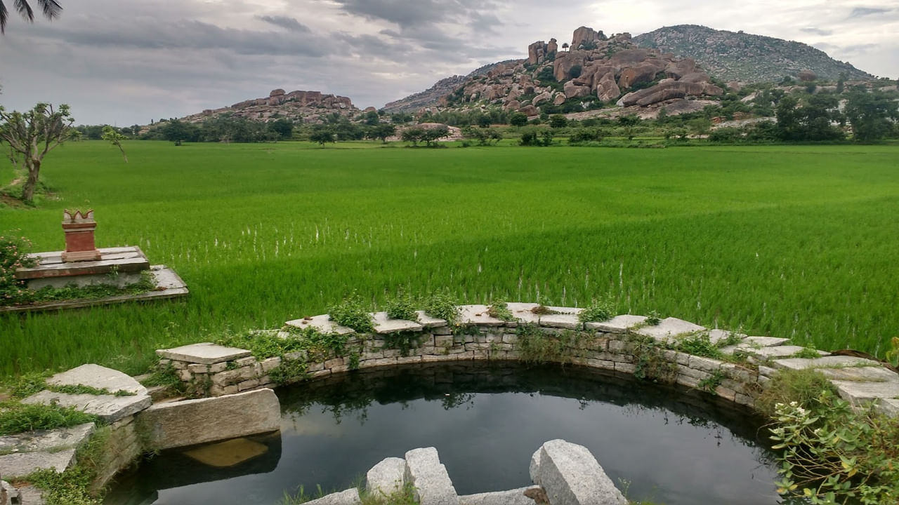 ముసలవ్వ బావిలో పడిందనీ నీళ్లన్నీ తోడేశారు.. కట్చేస్తే ఫ్యూజులు ఎగిరిపోయే ట్విస్ట్!