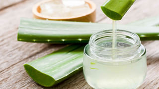 Mutton Head Curry: వంటరాని వారైనా ఈజీగా చేసే తలకాయ కూర రెసిపీ.. ఇలా వండితే లొట్టలేస్తారు..