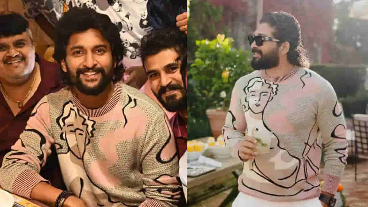 Allu Arjun-Nani: అల్లు అర్జున్ రిజెక్ట్ చేసిన కథతో నాని సినిమా.. కట్ చేస్తే ఊహించని రిజల్ట్.. ఏ మూవీనో తెలుసా?