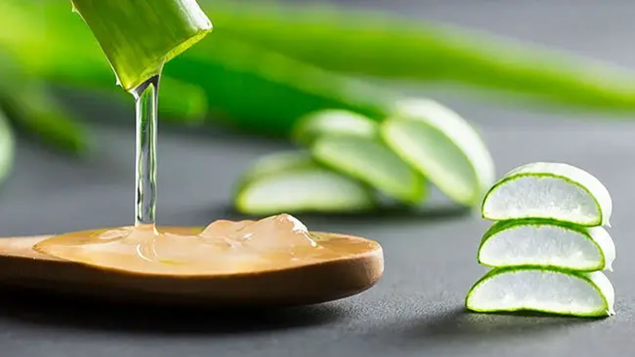 కలబంద ఆరోగ్యానికి ఎంతో మేలు చేస్తుంది. కలబందను తీసుకోవడం వల్ల అనేక ఆరోగ్య సమస్యలు నయం చేయడంలో ఔషధంలా పనిచేస్తుంది. ఇది రోగనిరోధక శక్తిని పెంచడంలో కూడా సహాయపడుతుంది.