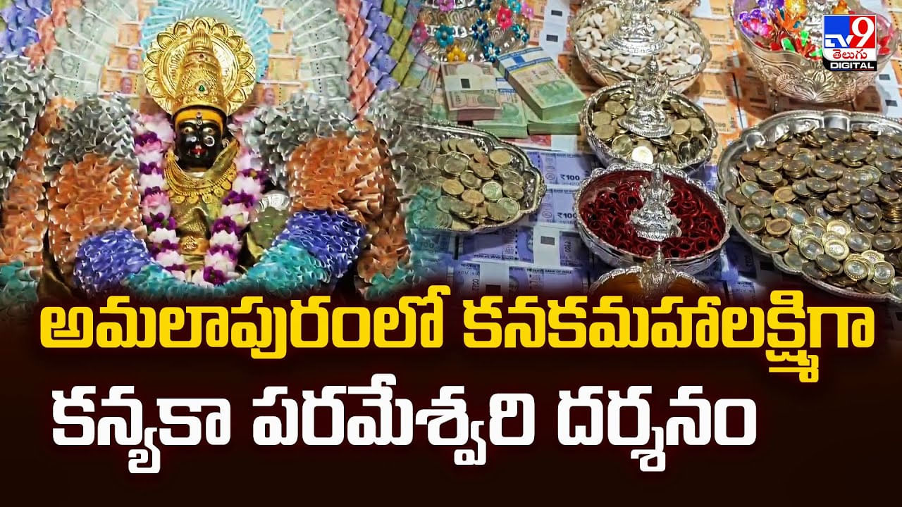 అమలాపురంలో కనకమహాలక్ష్మిగా కన్యకా పరమేశ్వరి దర్శనం వీడియో